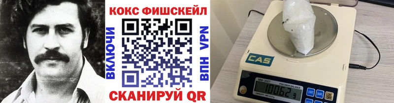 КОКАИН Fish Scale  ссылка на мегу ТОР  Нытва  купить  
