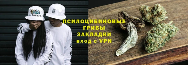 экстази Арсеньев