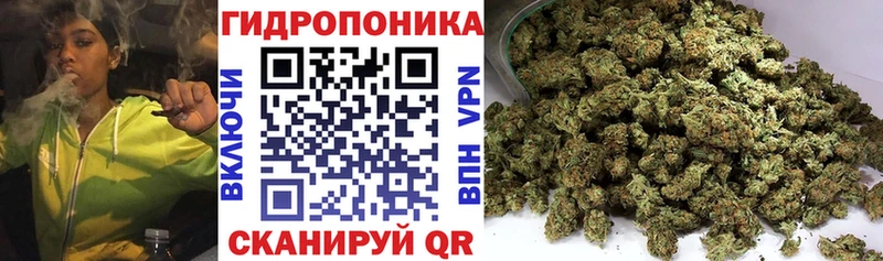 купить наркотик  Нытва  Конопля OG Kush 